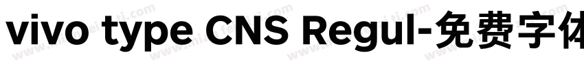 vivo type CNS Regul字体转换